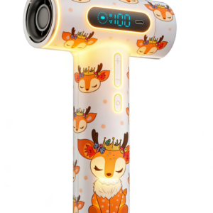 Rechargeable Hair Dryer